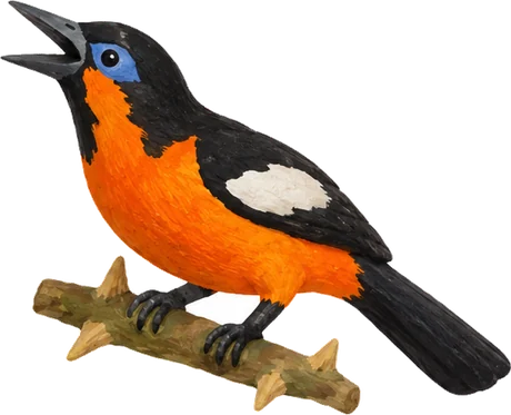 Turpial