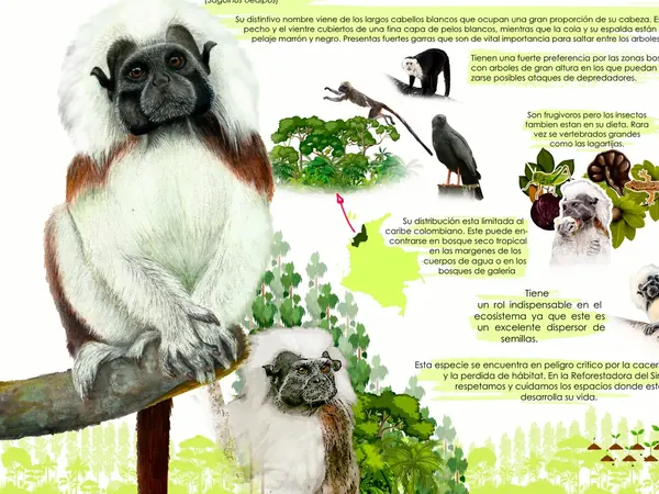Página de la muestra del catálogo de fauna y flora con el tití cabeciblanco