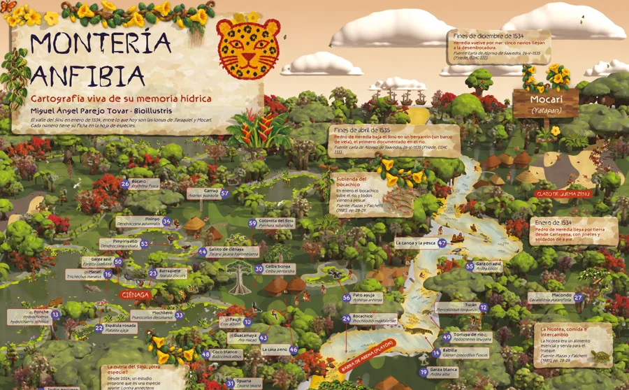 Detalle del mapa ilustrado Montería Anfibia